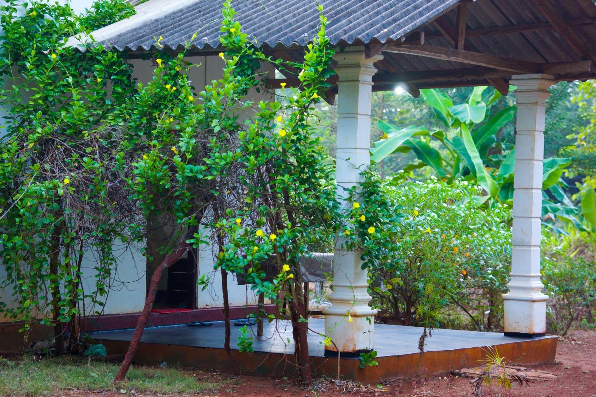 Senu Homestay Sigiriya Luaran gambar
