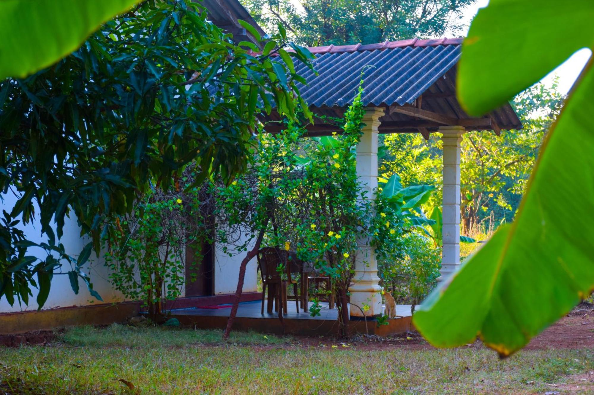 Senu Homestay Sigiriya Luaran gambar